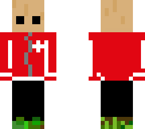 bag-ish (hoodie)