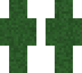 camo grass