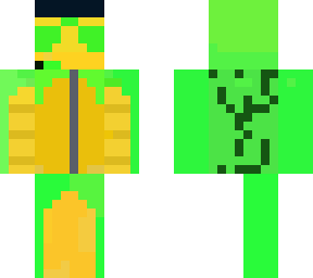 costume turtle