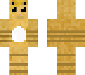 orange cat