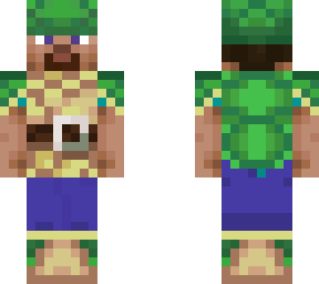 tortle master steve
