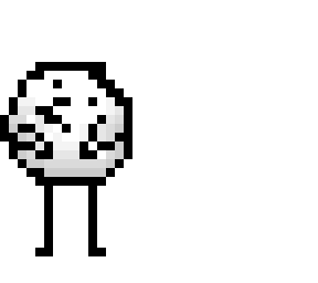 white berd