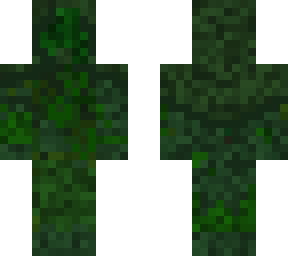 dewd