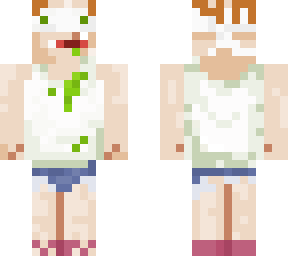 ginger ninja