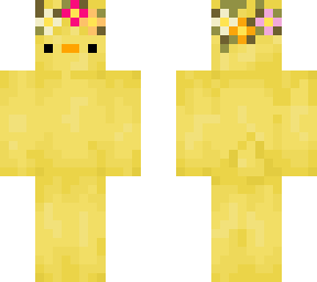 spring duck