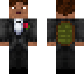 El Defensor de la Tortuga | Minecraft Skin