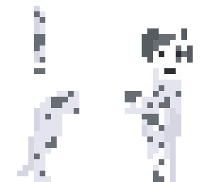 long dalmatian