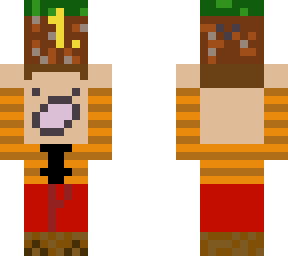 minecraft boy win