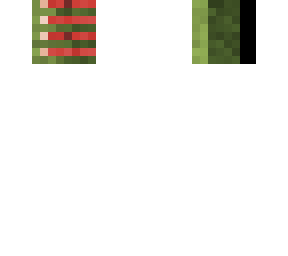 water mellon slices