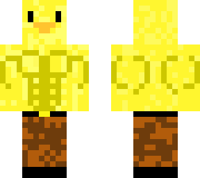 duck.