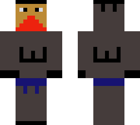 wariors ninja with bluebelt