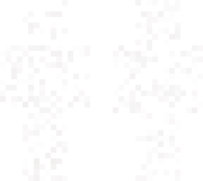 camo skin