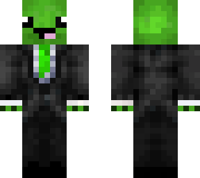 turtle in costume
