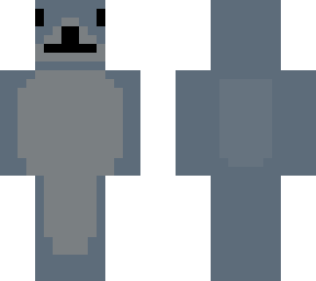 grey squirrel