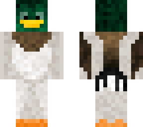 duck