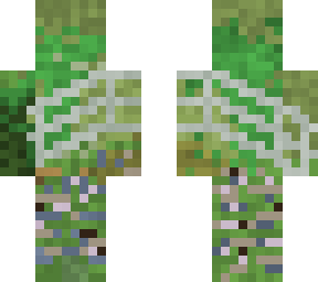 water lilies