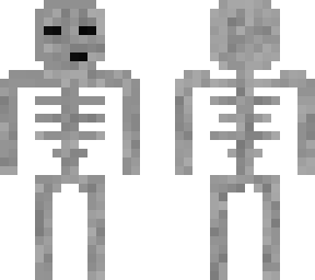 skelet