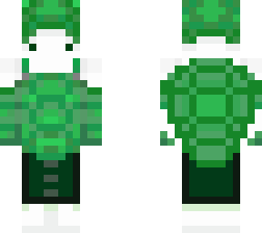 turtle boy final