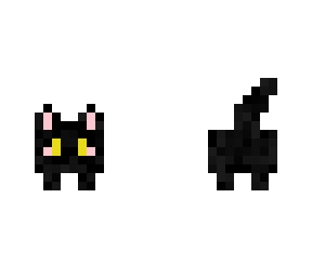 black cat