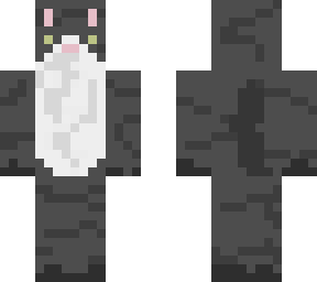 maine-coon