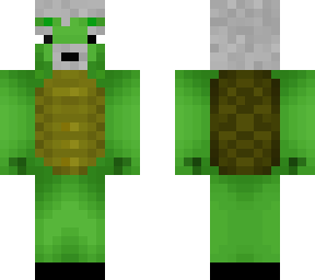 old turtle