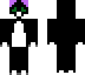 willma cat
