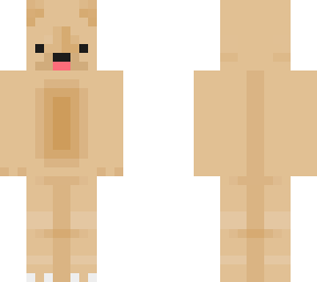cute dog