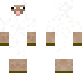 sheep