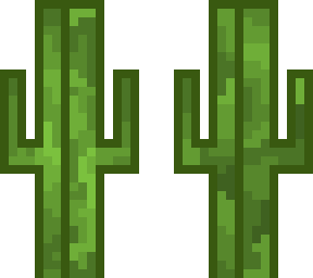 cacti