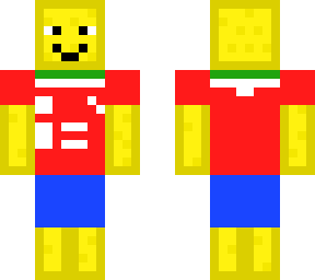 spongee if sport