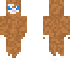 shaggy sheep