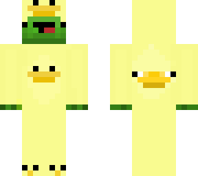 turtle in duck's pajamas