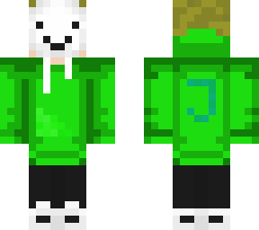 dreamturtleleader