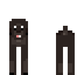 dog?