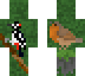birds in the forest