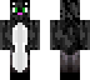 black cat
