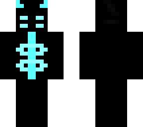 the entity (version 1)