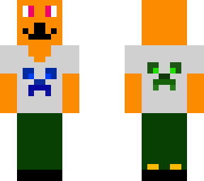 cat whith t shirt