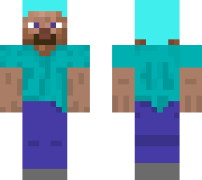 ninja steve
