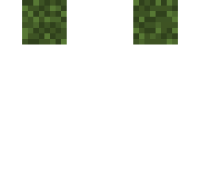 moosblock