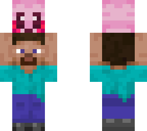 steve holding kirby