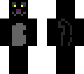 the black nice cat