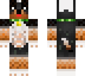 valor puppy v2