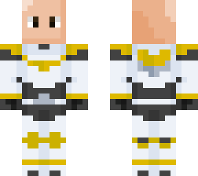 skin 1