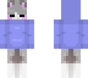 cat with hoodie