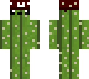 glupschi cactus