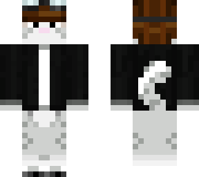 aero the cat