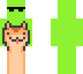 dream cat