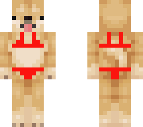 perro