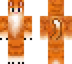 cat orange